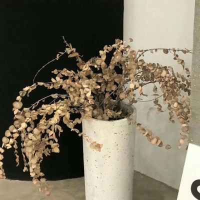 滨州FurryQQ群介绍